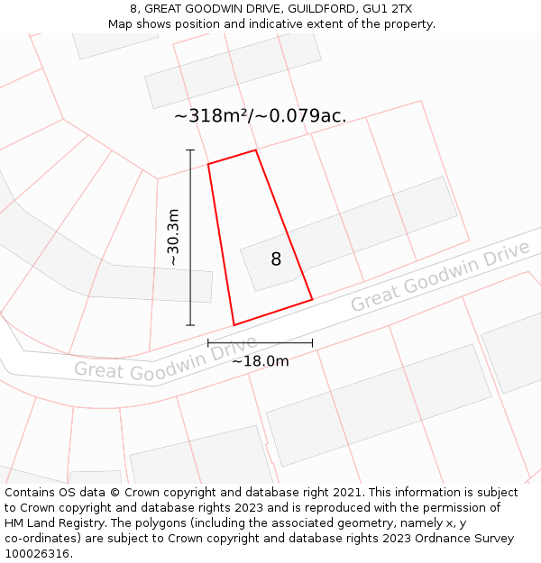 8, GREAT GOODWIN DRIVE, GUILDFORD, GU1 2TX: Plot and title map