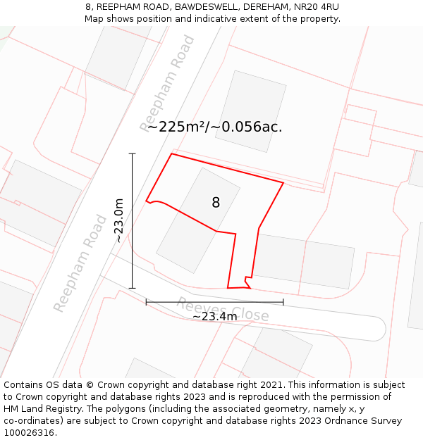 8, REEPHAM ROAD, BAWDESWELL, DEREHAM, NR20 4RU: Plot and title map