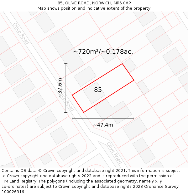 85, OLIVE ROAD, NORWICH, NR5 0AP: Plot and title map