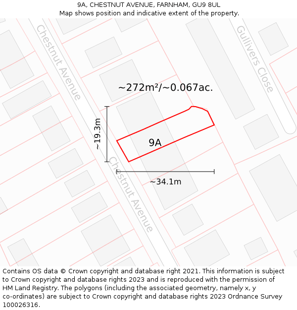 9A, CHESTNUT AVENUE, FARNHAM, GU9 8UL: Plot and title map