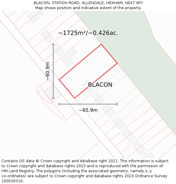 BLACON, STATION ROAD, ALLENDALE, HEXHAM, NE47 9PY: Plot and title map
