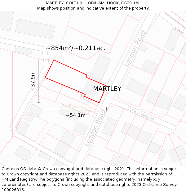 MARTLEY, COLT HILL, ODIHAM, HOOK, RG29 1AL: Plot and title map