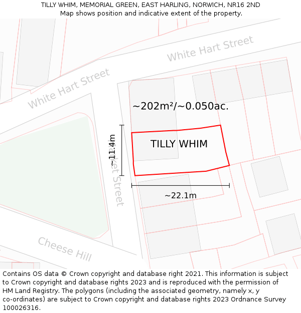 TILLY WHIM, MEMORIAL GREEN, EAST HARLING, NORWICH, NR16 2ND: Plot and title map