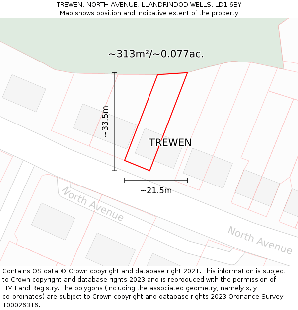 TREWEN, NORTH AVENUE, LLANDRINDOD WELLS, LD1 6BY: Plot and title map