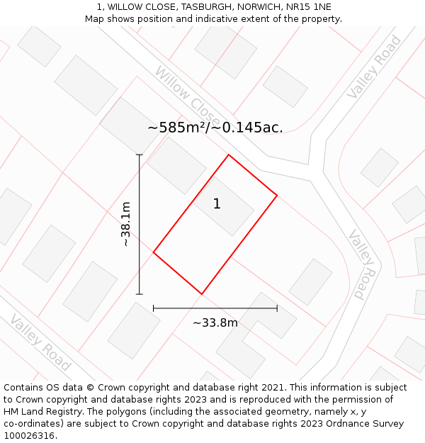 1, WILLOW CLOSE, TASBURGH, NORWICH, NR15 1NE: Plot and title map