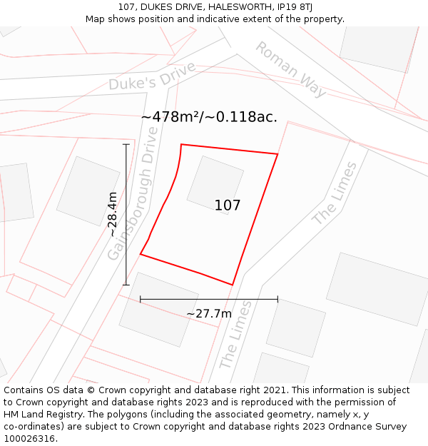 107, DUKES DRIVE, HALESWORTH, IP19 8TJ: Plot and title map