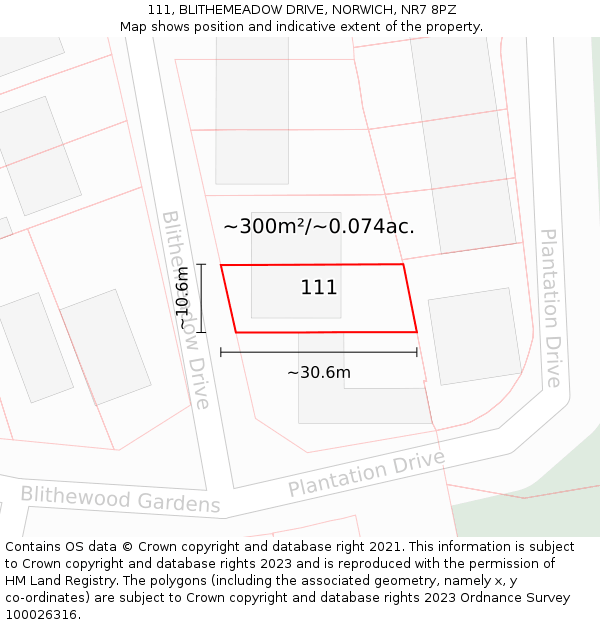 111, BLITHEMEADOW DRIVE, NORWICH, NR7 8PZ: Plot and title map