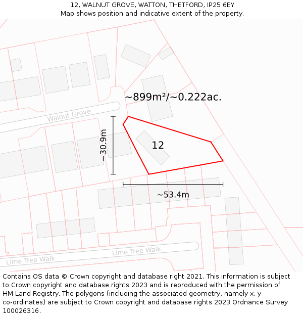 12, WALNUT GROVE, WATTON, THETFORD, IP25 6EY: Plot and title map