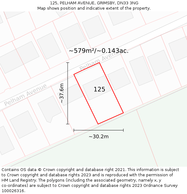 125, PELHAM AVENUE, GRIMSBY, DN33 3NG: Plot and title map