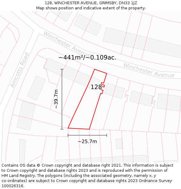 128, WINCHESTER AVENUE, GRIMSBY, DN33 1JZ: Plot and title map