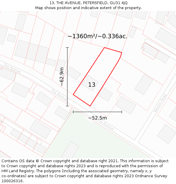 13, THE AVENUE, PETERSFIELD, GU31 4JQ: Plot and title map