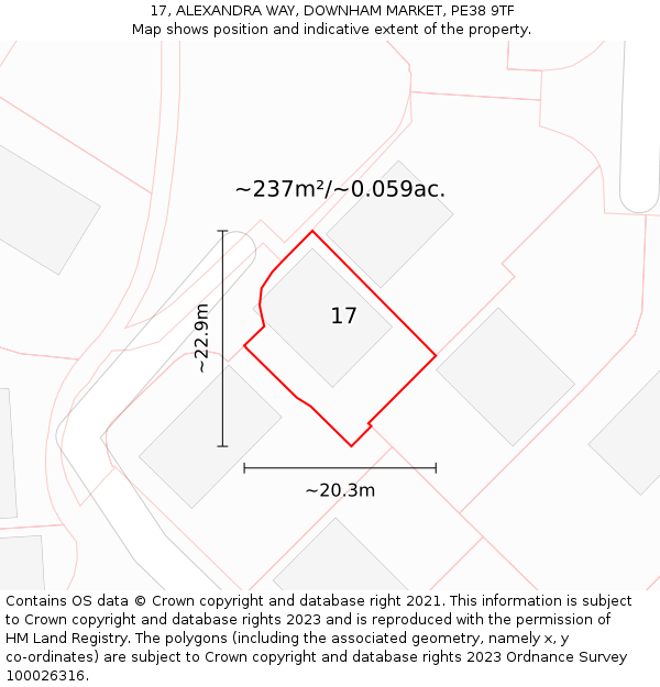 17, ALEXANDRA WAY, DOWNHAM MARKET, PE38 9TF: Plot and title map