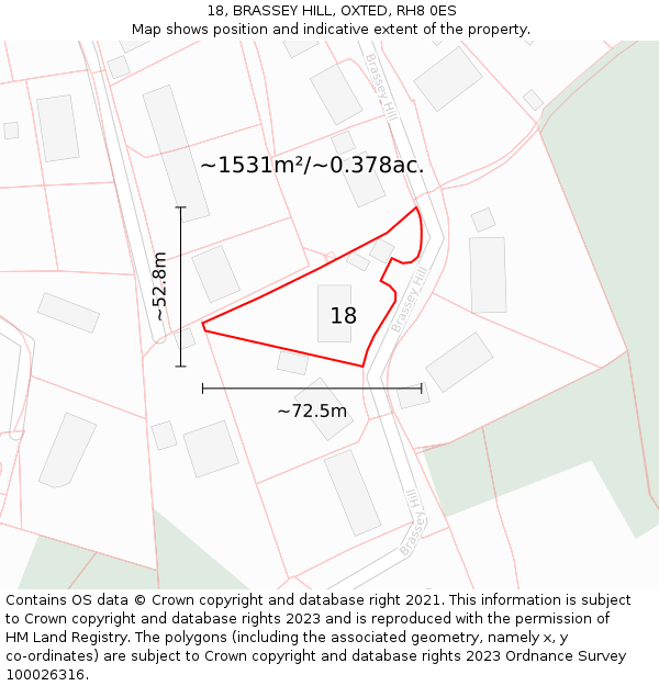 18, BRASSEY HILL, OXTED, RH8 0ES: Plot and title map