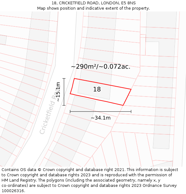 18, CRICKETFIELD ROAD, LONDON, E5 8NS: Plot and title map