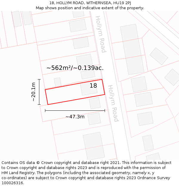 18, HOLLYM ROAD, WITHERNSEA, HU19 2PJ: Plot and title map