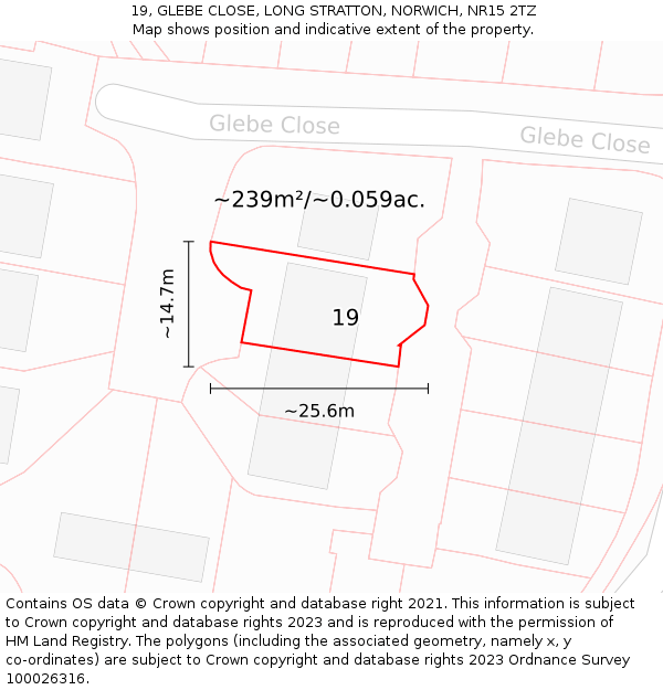 19, GLEBE CLOSE, LONG STRATTON, NORWICH, NR15 2TZ: Plot and title map