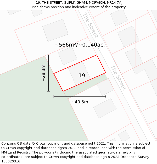 19, THE STREET, SURLINGHAM, NORWICH, NR14 7AJ: Plot and title map