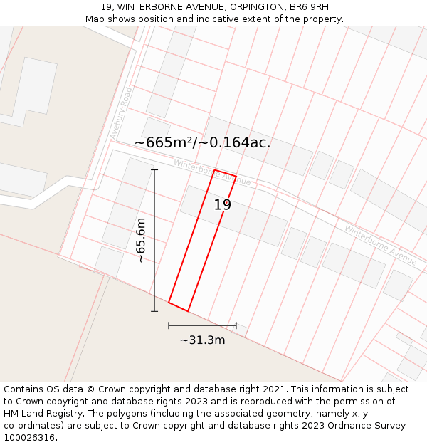 19, WINTERBORNE AVENUE, ORPINGTON, BR6 9RH: Plot and title map