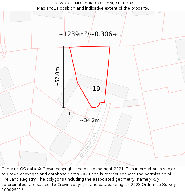 19, WOODEND PARK, COBHAM, KT11 3BX: Plot and title map