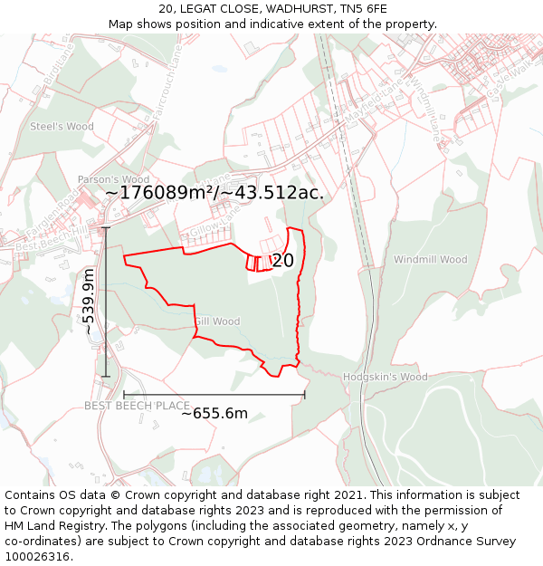 20, LEGAT CLOSE, WADHURST, TN5 6FE: Plot and title map