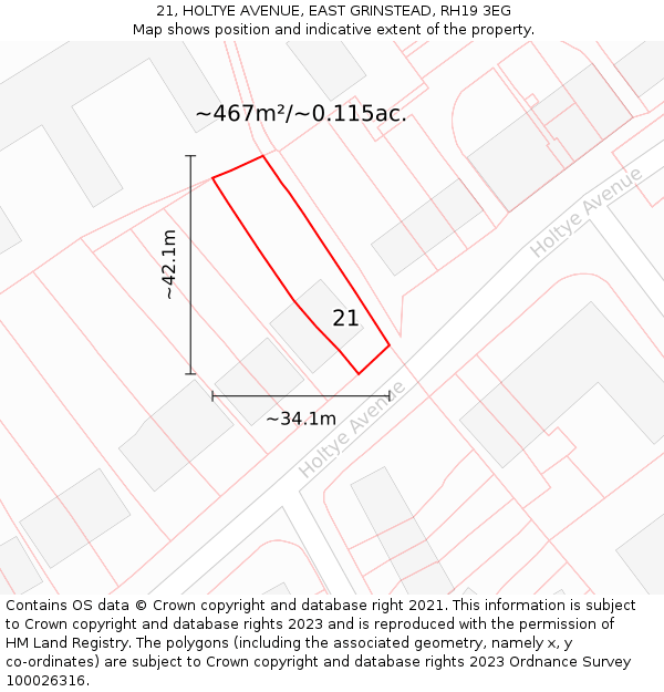 21, HOLTYE AVENUE, EAST GRINSTEAD, RH19 3EG: Plot and title map