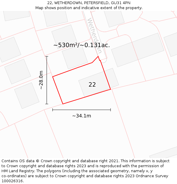 22, WETHERDOWN, PETERSFIELD, GU31 4PN: Plot and title map