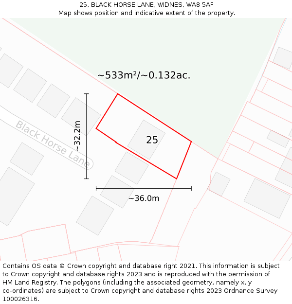 25, BLACK HORSE LANE, WIDNES, WA8 5AF: Plot and title map