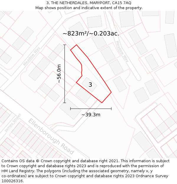 3, THE NETHERDALES, MARYPORT, CA15 7AQ: Plot and title map