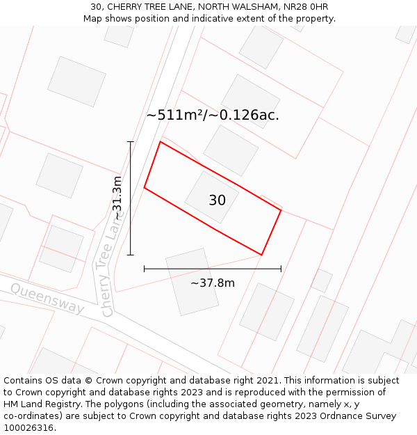 30, CHERRY TREE LANE, NORTH WALSHAM, NR28 0HR: Plot and title map