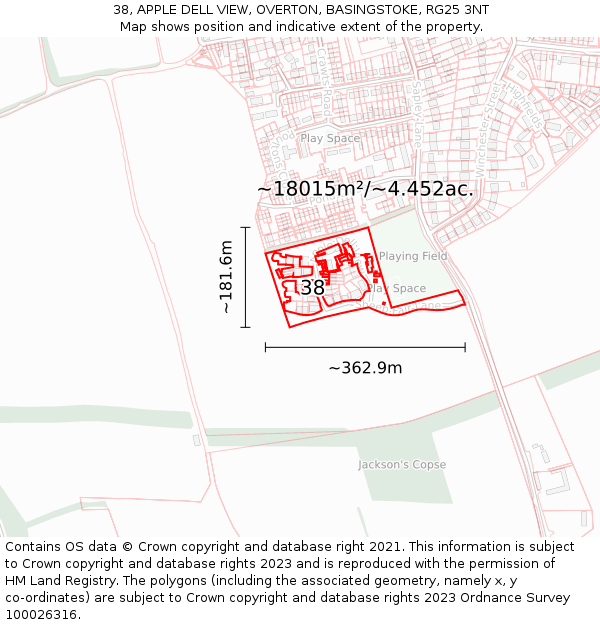 38, APPLE DELL VIEW, OVERTON, BASINGSTOKE, RG25 3NT: Plot and title map