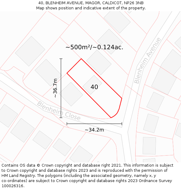 40, BLENHEIM AVENUE, MAGOR, CALDICOT, NP26 3NB: Plot and title map