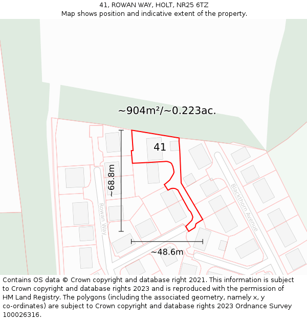 41, ROWAN WAY, HOLT, NR25 6TZ: Plot and title map