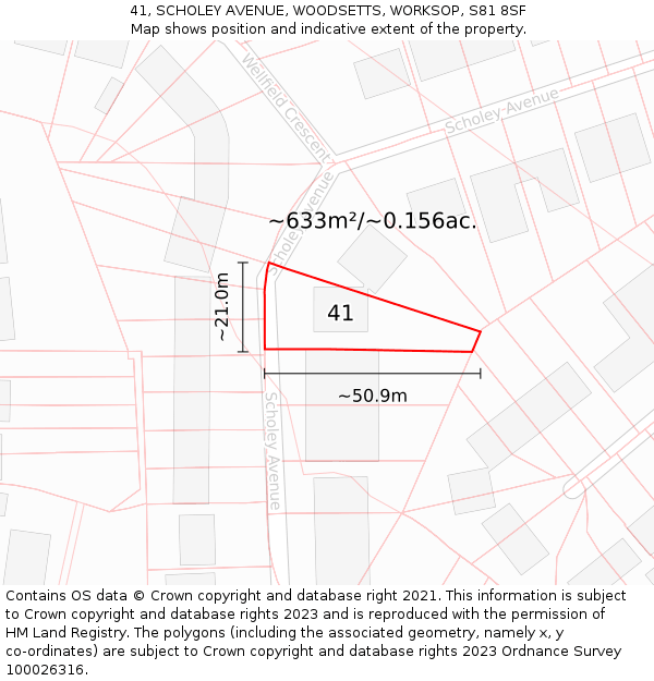 41, SCHOLEY AVENUE, WOODSETTS, WORKSOP, S81 8SF: Plot and title map