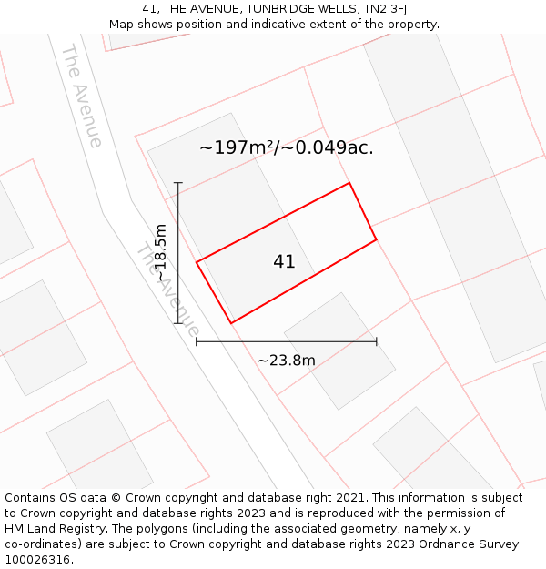 41, THE AVENUE, TUNBRIDGE WELLS, TN2 3FJ: Plot and title map