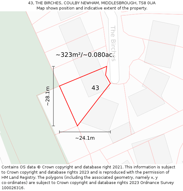 43, THE BIRCHES, COULBY NEWHAM, MIDDLESBROUGH, TS8 0UA: Plot and title map