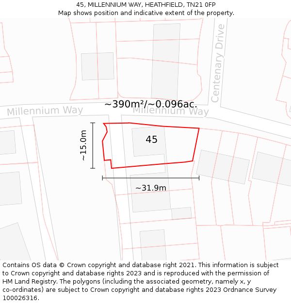 45, MILLENNIUM WAY, HEATHFIELD, TN21 0FP: Plot and title map