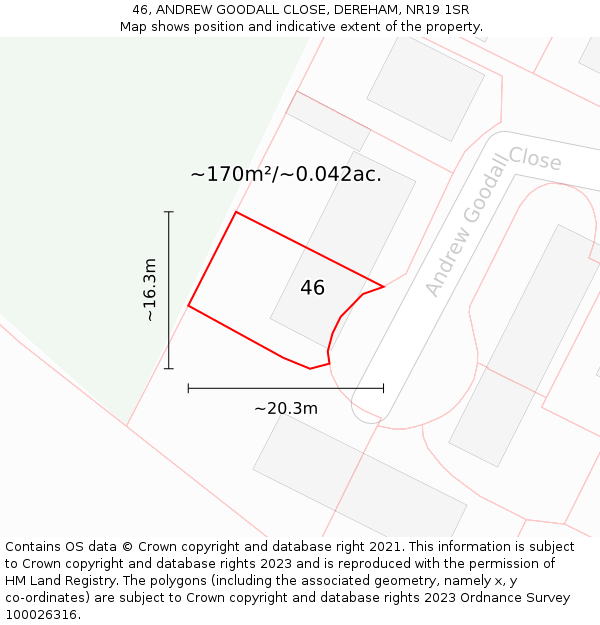 46, ANDREW GOODALL CLOSE, DEREHAM, NR19 1SR: Plot and title map