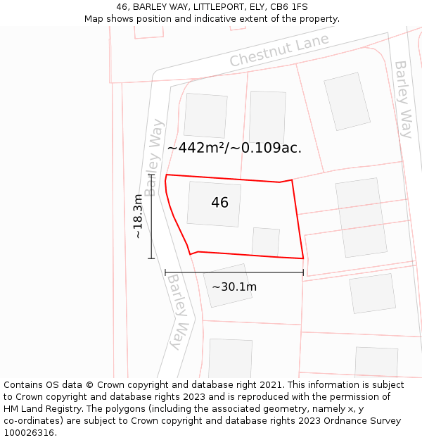 46, BARLEY WAY, LITTLEPORT, ELY, CB6 1FS: Plot and title map