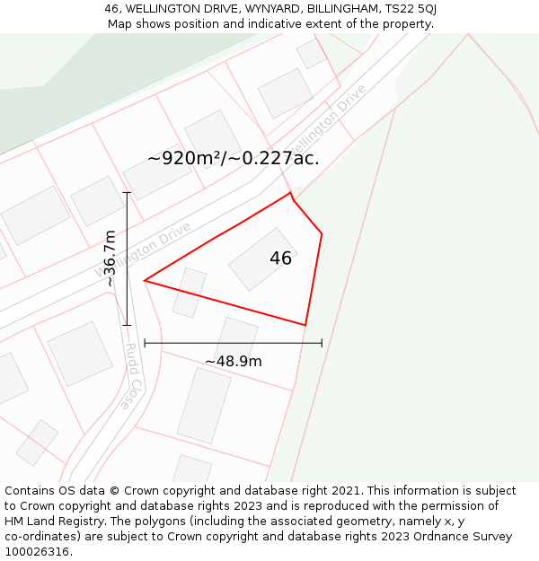 46, WELLINGTON DRIVE, WYNYARD, BILLINGHAM, TS22 5QJ: Plot and title map