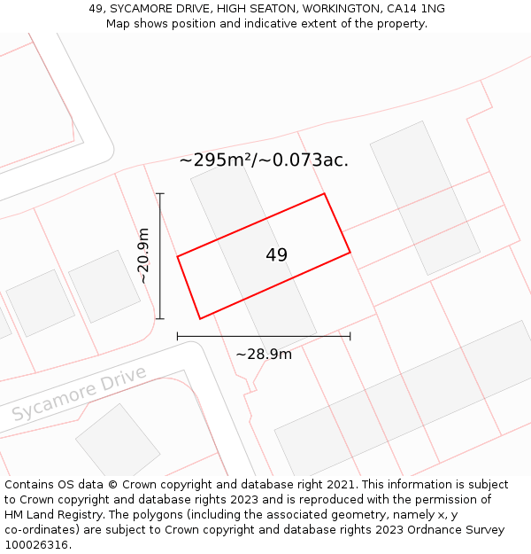 49, SYCAMORE DRIVE, HIGH SEATON, WORKINGTON, CA14 1NG: Plot and title map