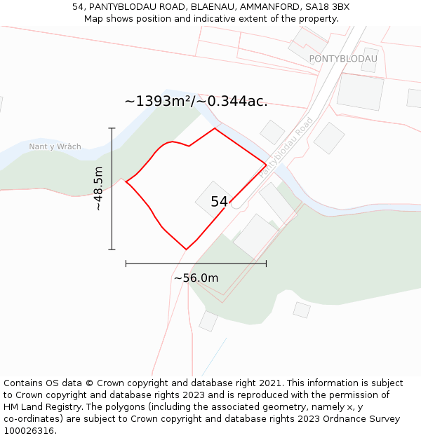 54, PANTYBLODAU ROAD, BLAENAU, AMMANFORD, SA18 3BX: Plot and title map