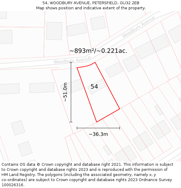 54, WOODBURY AVENUE, PETERSFIELD, GU32 2EB: Plot and title map