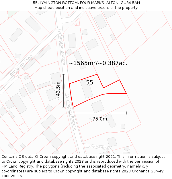 55, LYMINGTON BOTTOM, FOUR MARKS, ALTON, GU34 5AH: Plot and title map