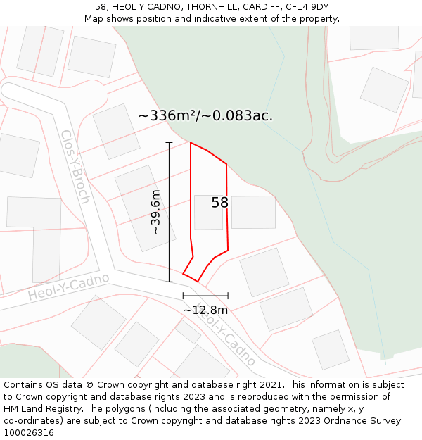 58, HEOL Y CADNO, THORNHILL, CARDIFF, CF14 9DY: Plot and title map