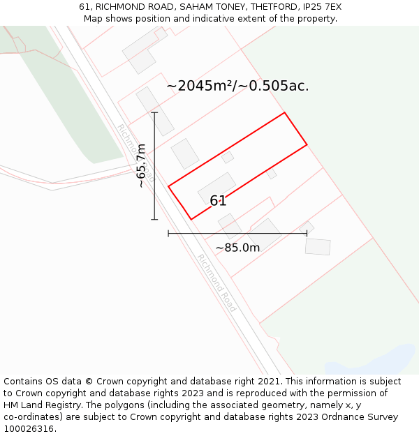 61, RICHMOND ROAD, SAHAM TONEY, THETFORD, IP25 7EX: Plot and title map