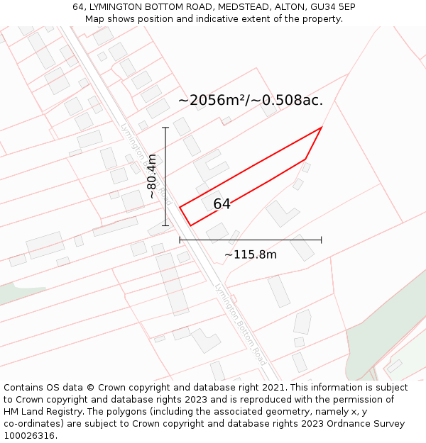 64, LYMINGTON BOTTOM ROAD, MEDSTEAD, ALTON, GU34 5EP: Plot and title map