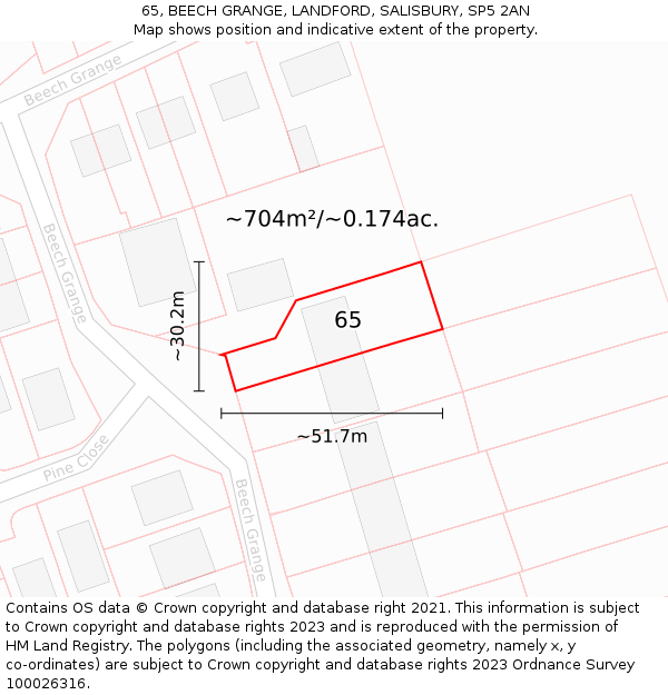 65, BEECH GRANGE, LANDFORD, SALISBURY, SP5 2AN: Plot and title map