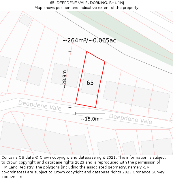 65, DEEPDENE VALE, DORKING, RH4 1NJ: Plot and title map