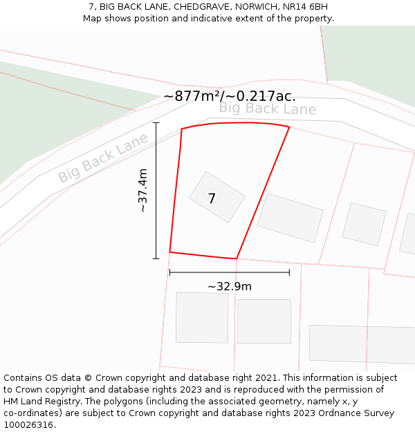 7, BIG BACK LANE, CHEDGRAVE, NORWICH, NR14 6BH: Plot and title map