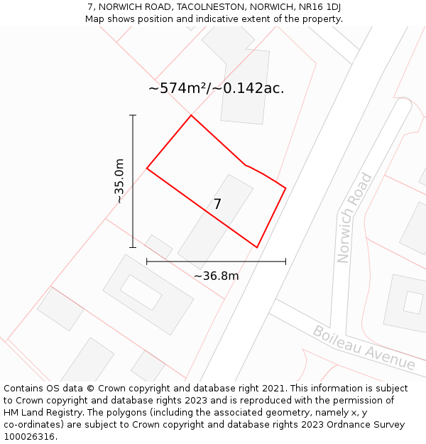 7, NORWICH ROAD, TACOLNESTON, NORWICH, NR16 1DJ: Plot and title map